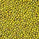 Kacang Hijau 500g